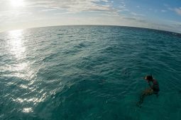 Stingray Bio Bay Night Snorkel - 10